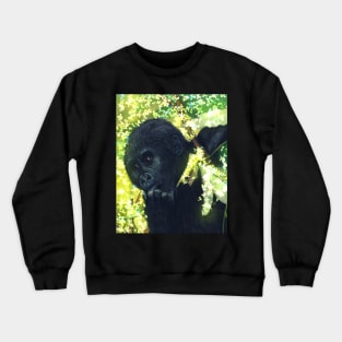 Gorilla Crewneck Sweatshirt